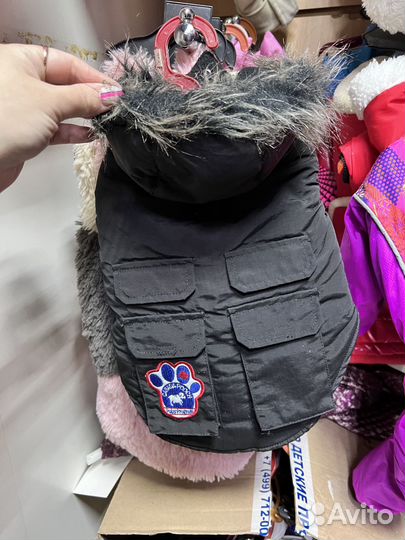 Одежда для животных