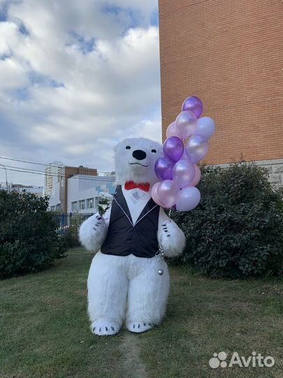 Поздравление от Белого Медведя; Панды