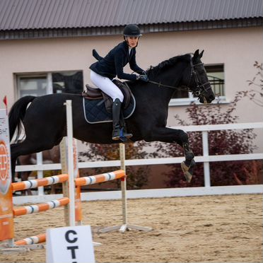 Лошадь в аренду