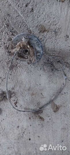 Цапфа задняя левая Nissan Murano