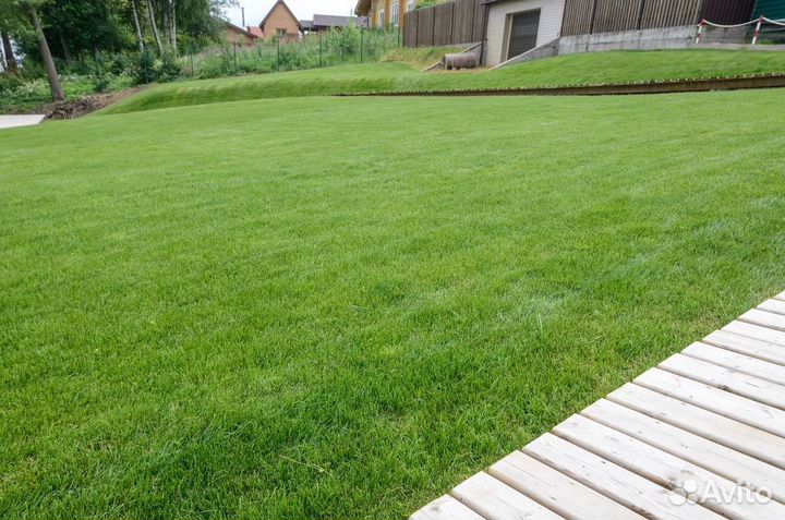 Рулонный газон. Озеленение участка