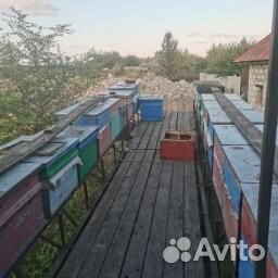 Продается пасека