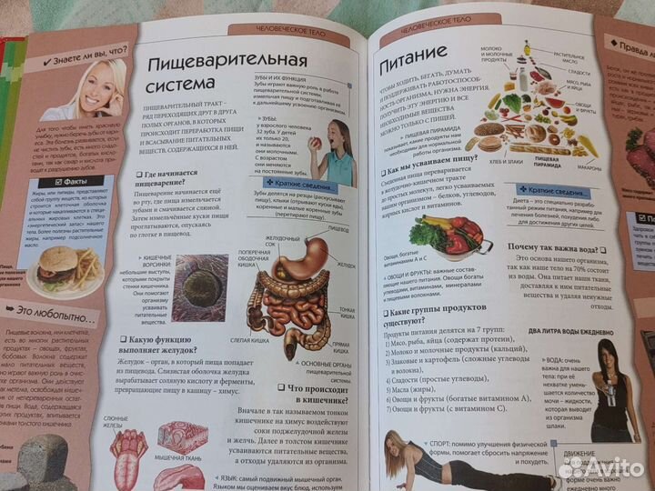 Детская энциклопедия