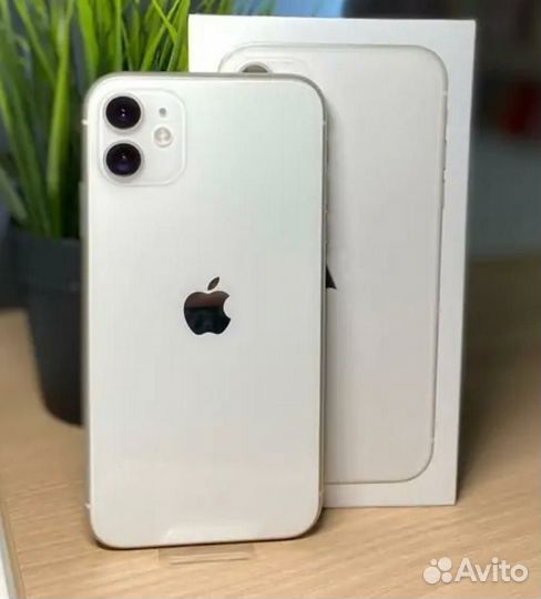 iPhone 11
