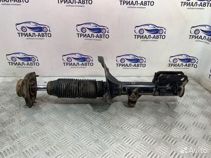Амортизатор задний левый Hyundai Tucson 1