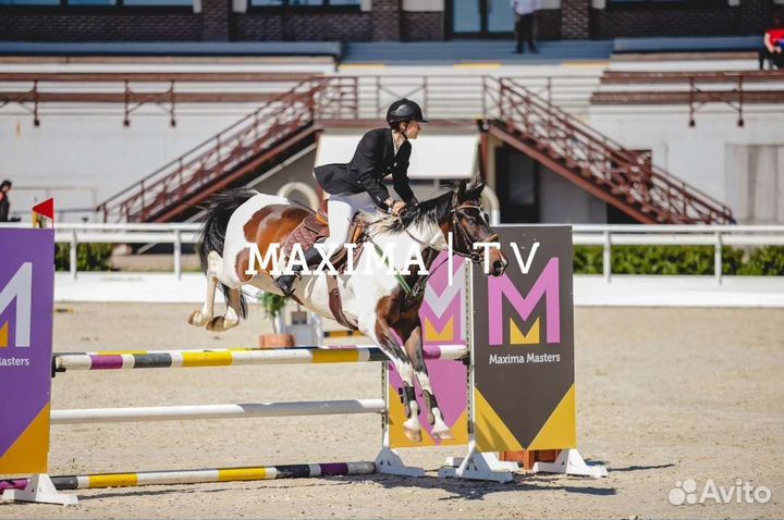 Тренер по верховой езде и конному спорту