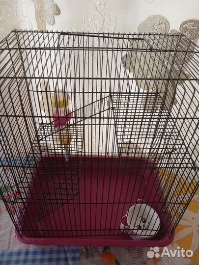Клетка для грызунов