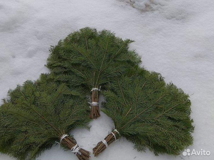 Веники,для,бани