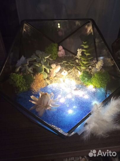 Флорариум с сукулентами