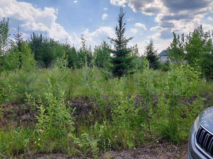 Участок 10 сот. (СНТ, ДНП)