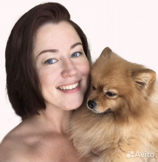 Стрижка собак ЖК Юбилейный квартал