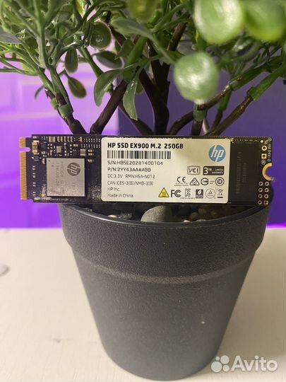 SSD M2 HP EX900 250GB