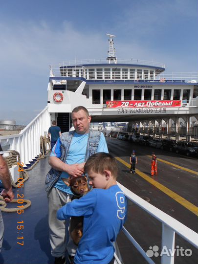 Водитель кат всд