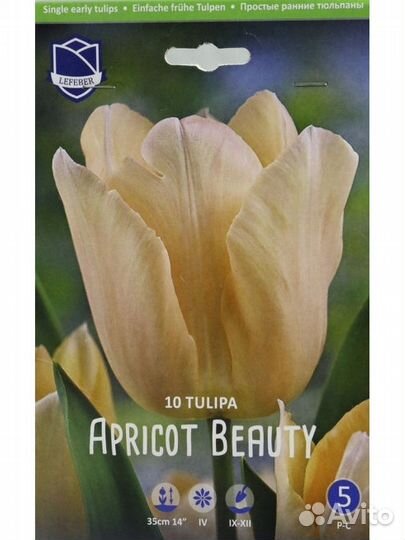 Тюльпан Априкот Бьюти Lefeber, 10 шт