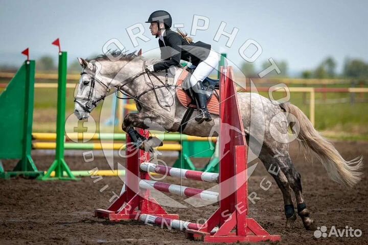 Верховая езда