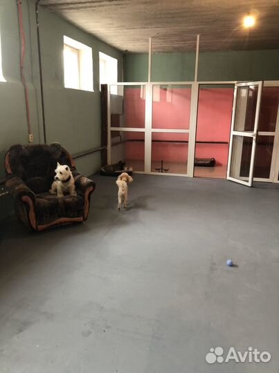 Гостиница для животных/ передержка