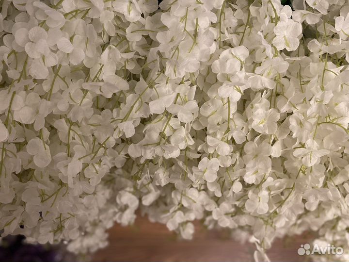 Лиана,глициния, зелень, рускус, все для свадьбы