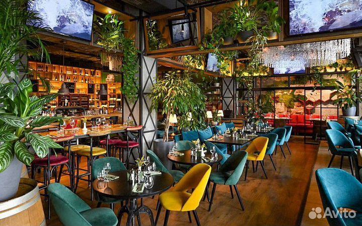 Начинающий повар