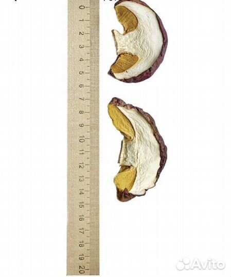 Белый гриб сушенный