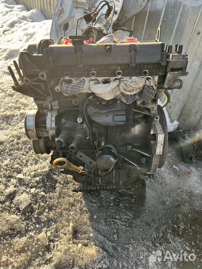 Двигатель Ford Focus 2 1.6 shda 100л.с