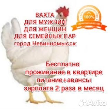 Упаковщики вахтой Ставрополье проживание питание