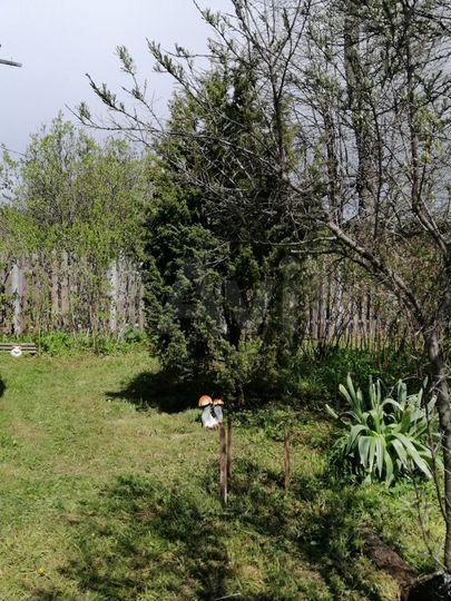 Дом 50 м² на участке 15 сот.