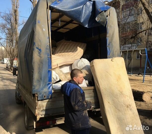 Вывоз мусора, спил деревьев, уборка территории
