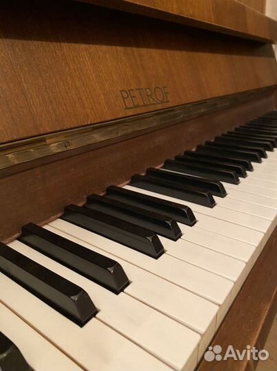 Репетитор по сольфеджио и фортепиано