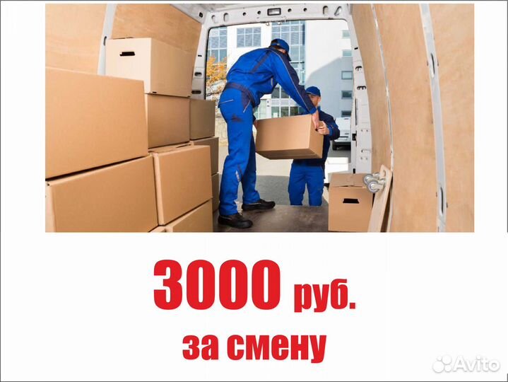 Грузчик алкоголя