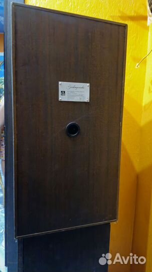 Акустическая система. электроника 25AC033