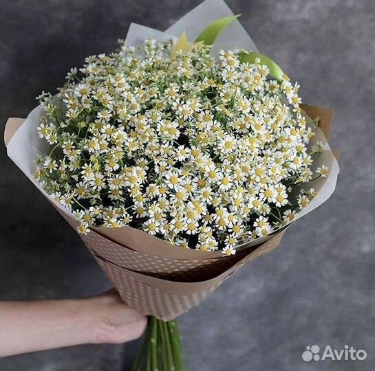 Ромашки Букет из ромашек доставка