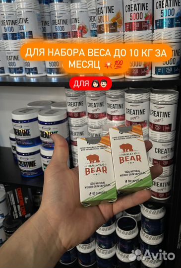 Для набора веса Bear
