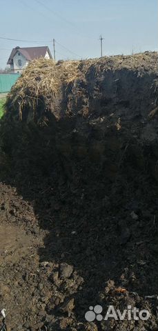 Нпаоз коровий перегнивал 3 года