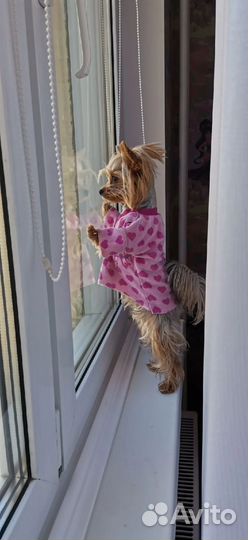 Мини мальчик