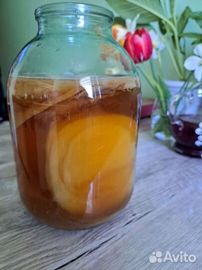 Чайный гриб