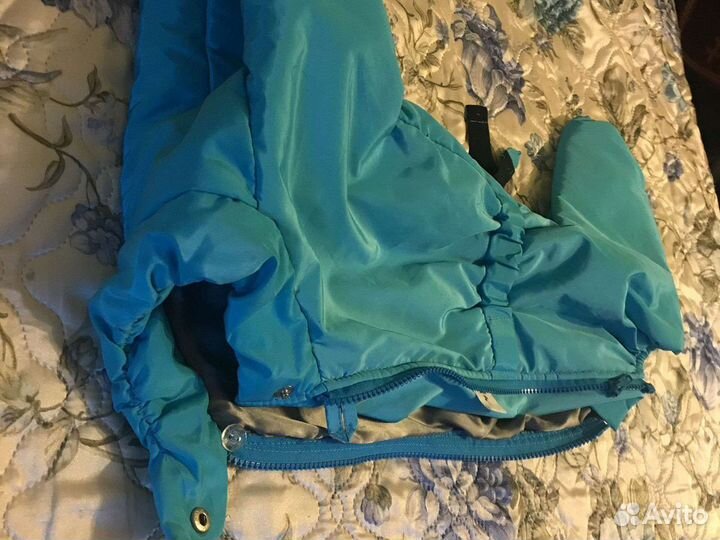 Одежда для собак