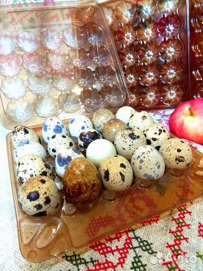 Коробочка, упаковка для перепелиных яиц