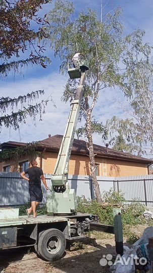 Спил деревьев. Крона. Благоустройтво. Вывоз