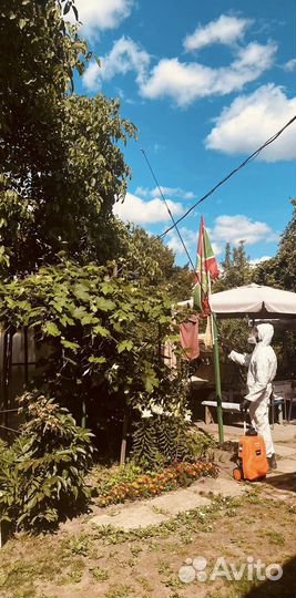 Уничтожение насекомых, грызунов, вирусов, бактерий