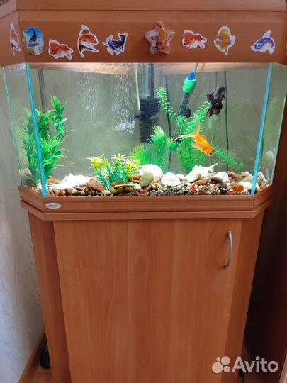 Аквариум