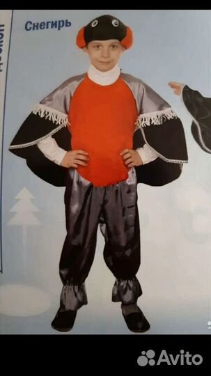 Новогодний костюм снегиря - напрокат