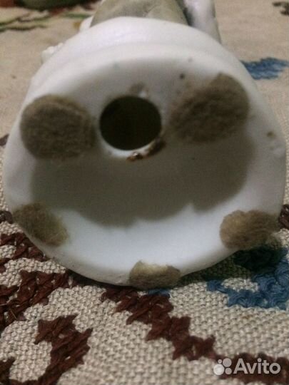 Старик с яблоками