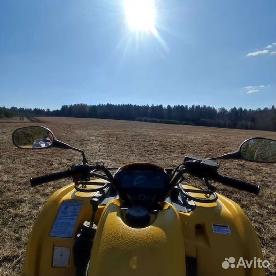 Прокат квадроциклов