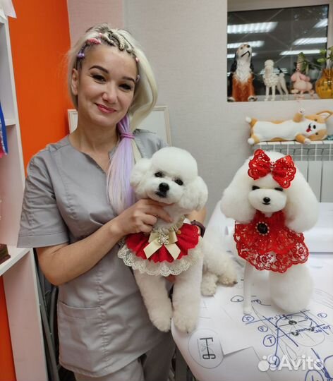 Обучение грумингу с нуля