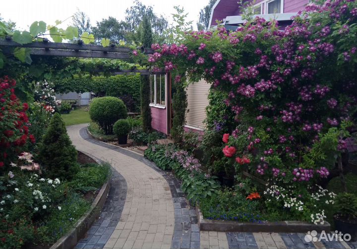 Сад, экскурсия, стрижка, саженцы