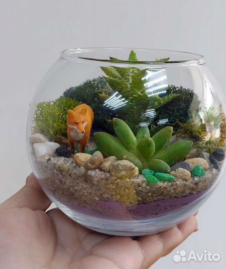 Флорариум с лисичкой