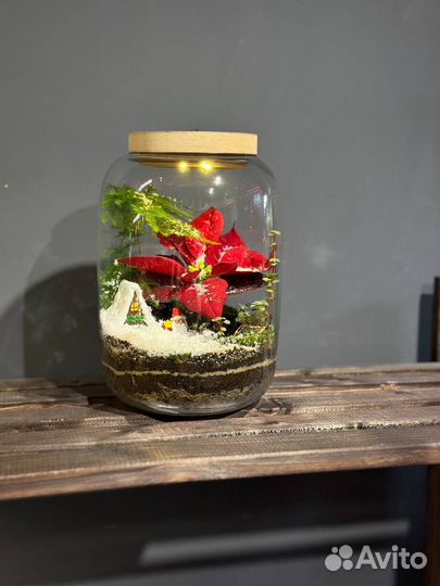 Новогодний флорариум с подсветкой - 