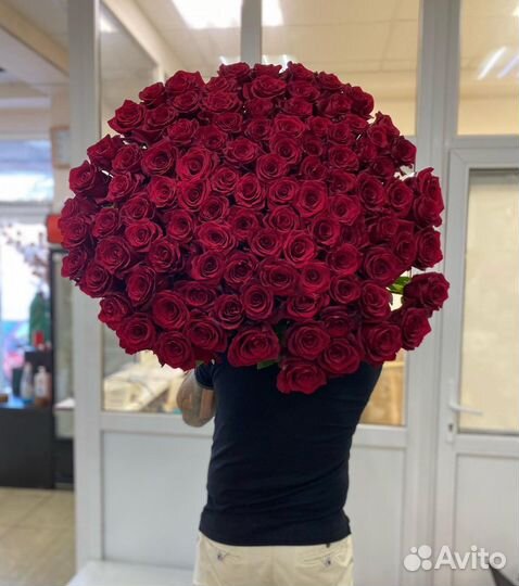 Розы Эквадор