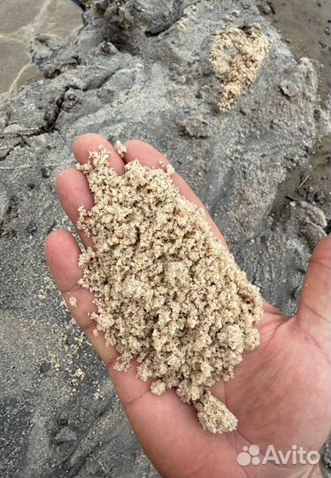 Соль техническая