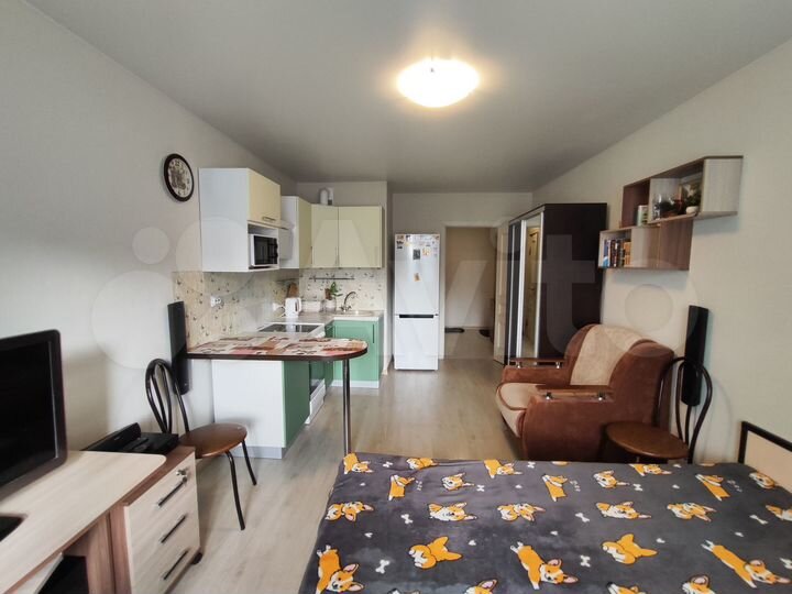 Квартира-студия, 25,1 м², 8/12 эт.